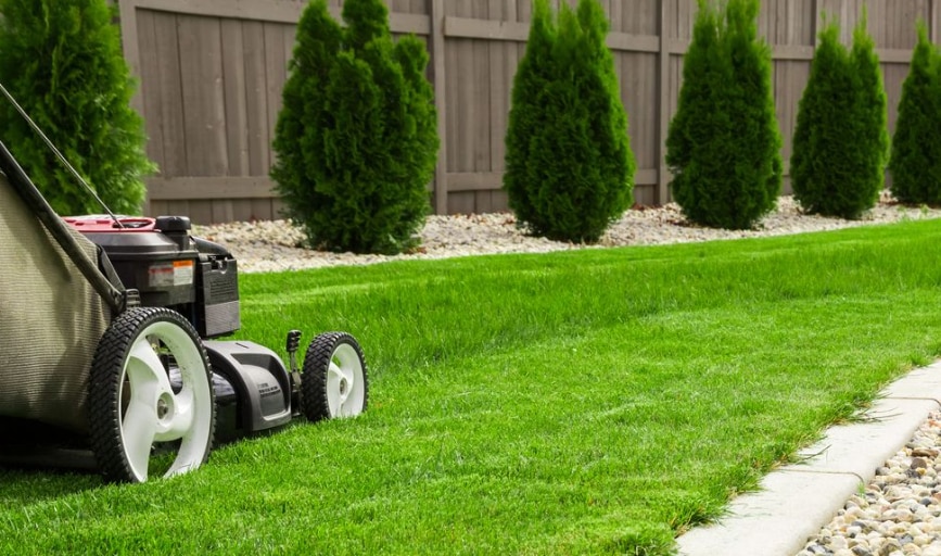 Front Yard Clippers & Handyman Services
